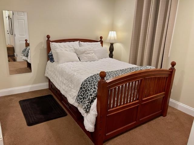 Spacious Private Lower Level Bedroom/Bathroom with very Generous Perks - Photo 2