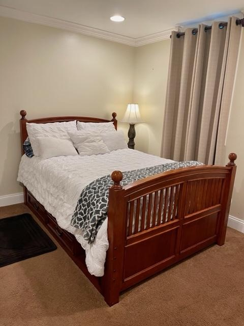 Spacious Private Lower Level Bedroom/Bathroom with very Generous Perks - Photo 3
