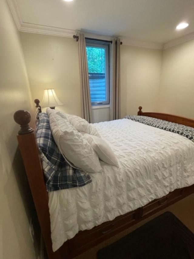 Spacious Private Lower Level Bedroom/Bathroom with very Generous Perks - Photo 5