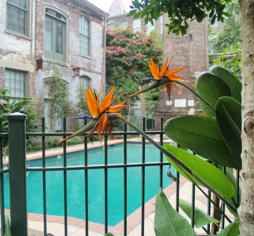 Gorgeous Fully Furnished 3 Bed / 3 Bath Condo