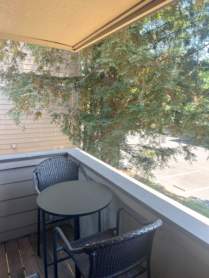 Beautiful, Quiet Condo Near Freeway and Downtown - Photo 5