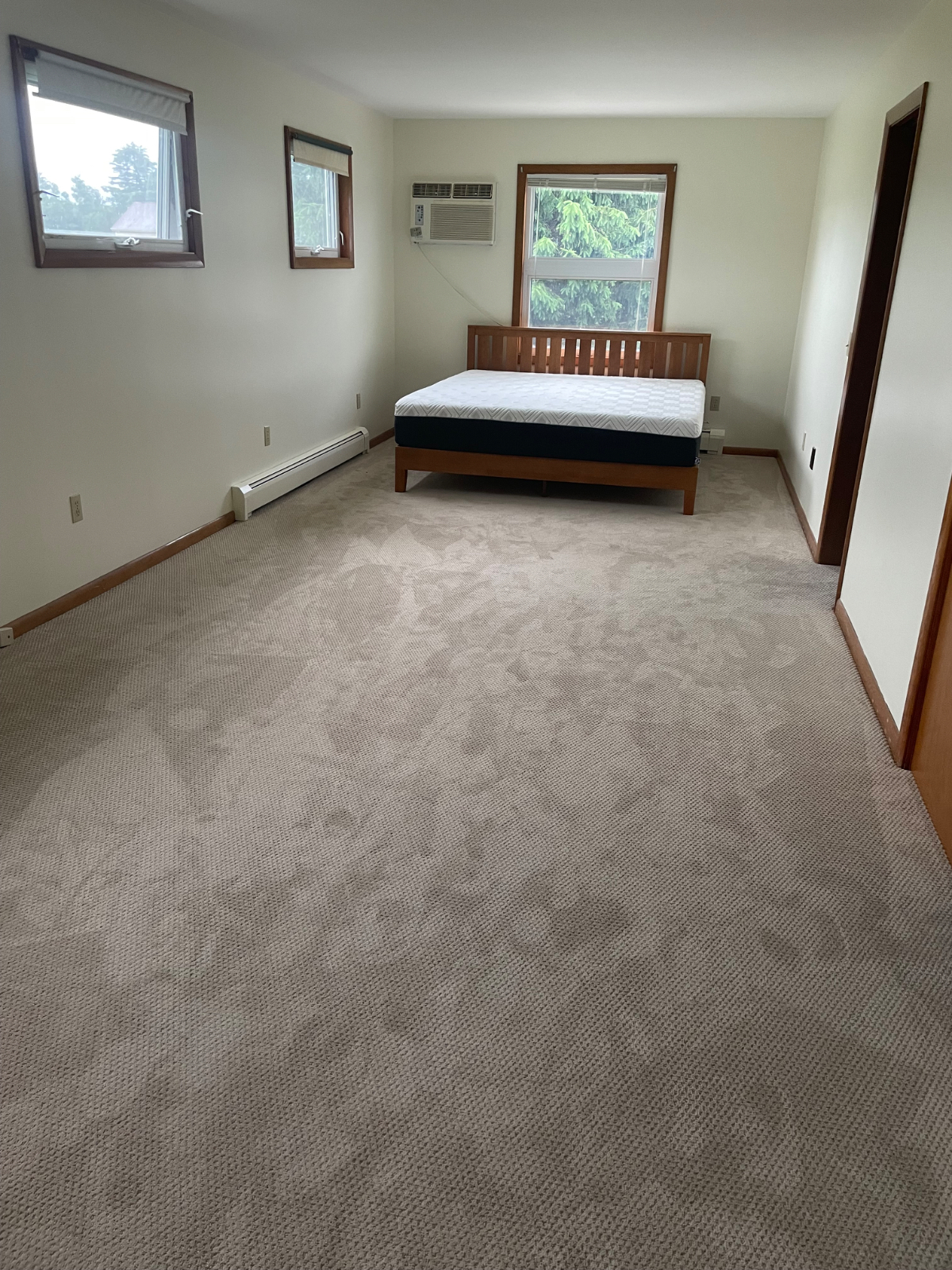 3 BEDROOM RANCH ON 3 ACRES - Photo 8