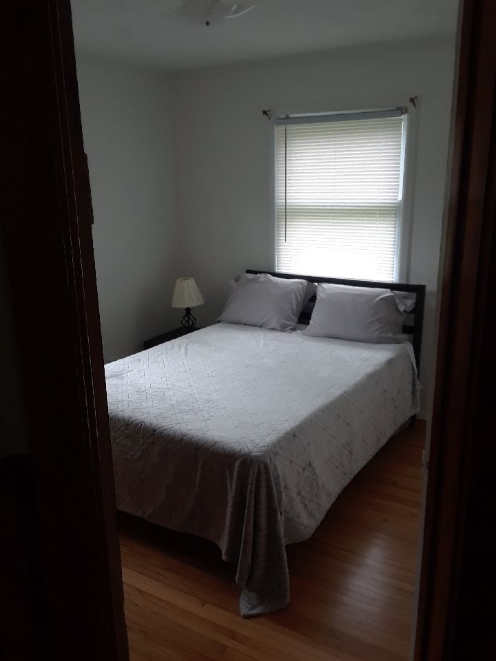 Recently updated Ranch in the Village of Clifton Springs - Photo 2
