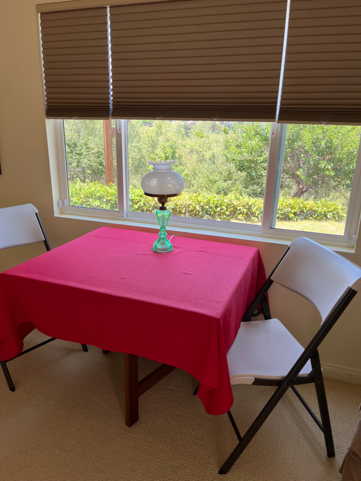Quiet/clean home over looking canyon easy access to hospitals and local beaches with in 4 miles. - Photo 3