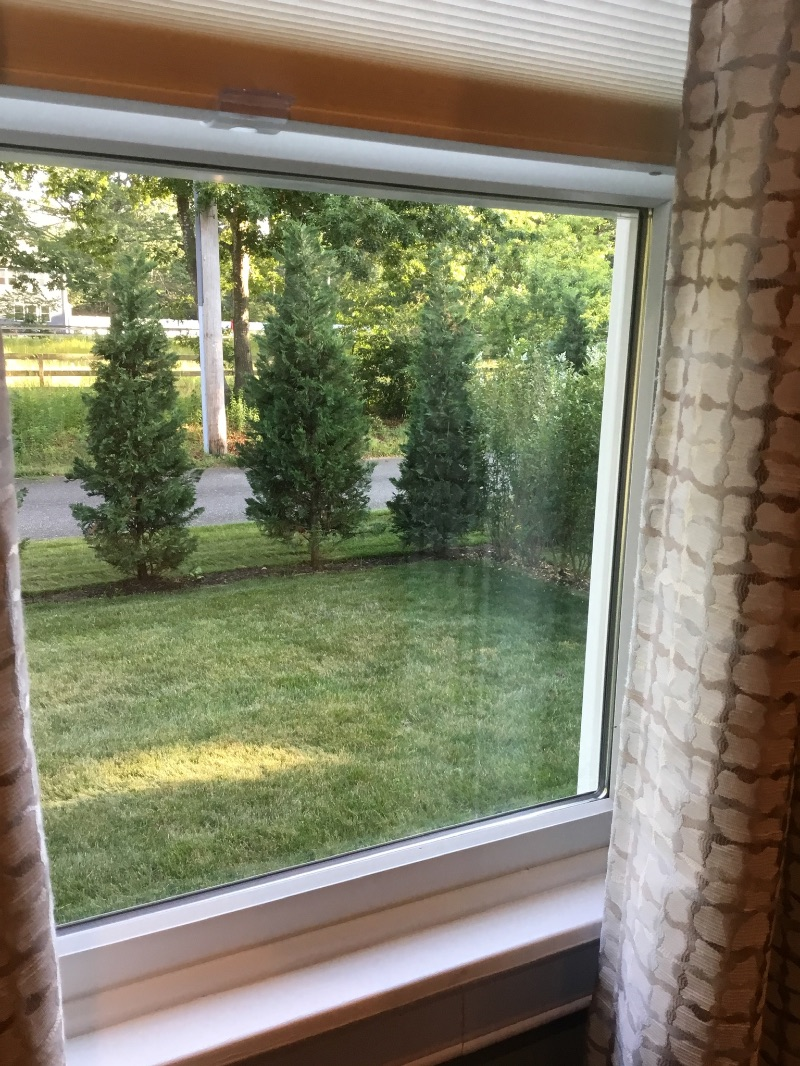 Beautiful 1 bedroom apartment rare find In quiet location - Photo 6