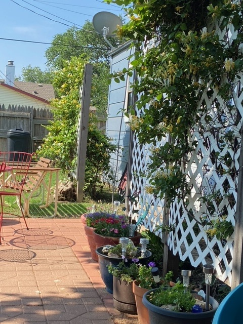La Casita - Photo 2