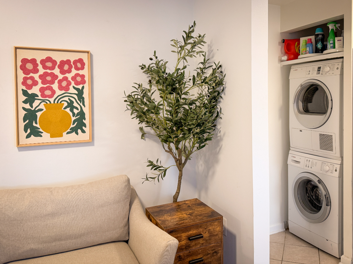 NEW - Luxury Studio - 14th St - Walk Score 94 - All Utilities & Parking Included - Photo 3