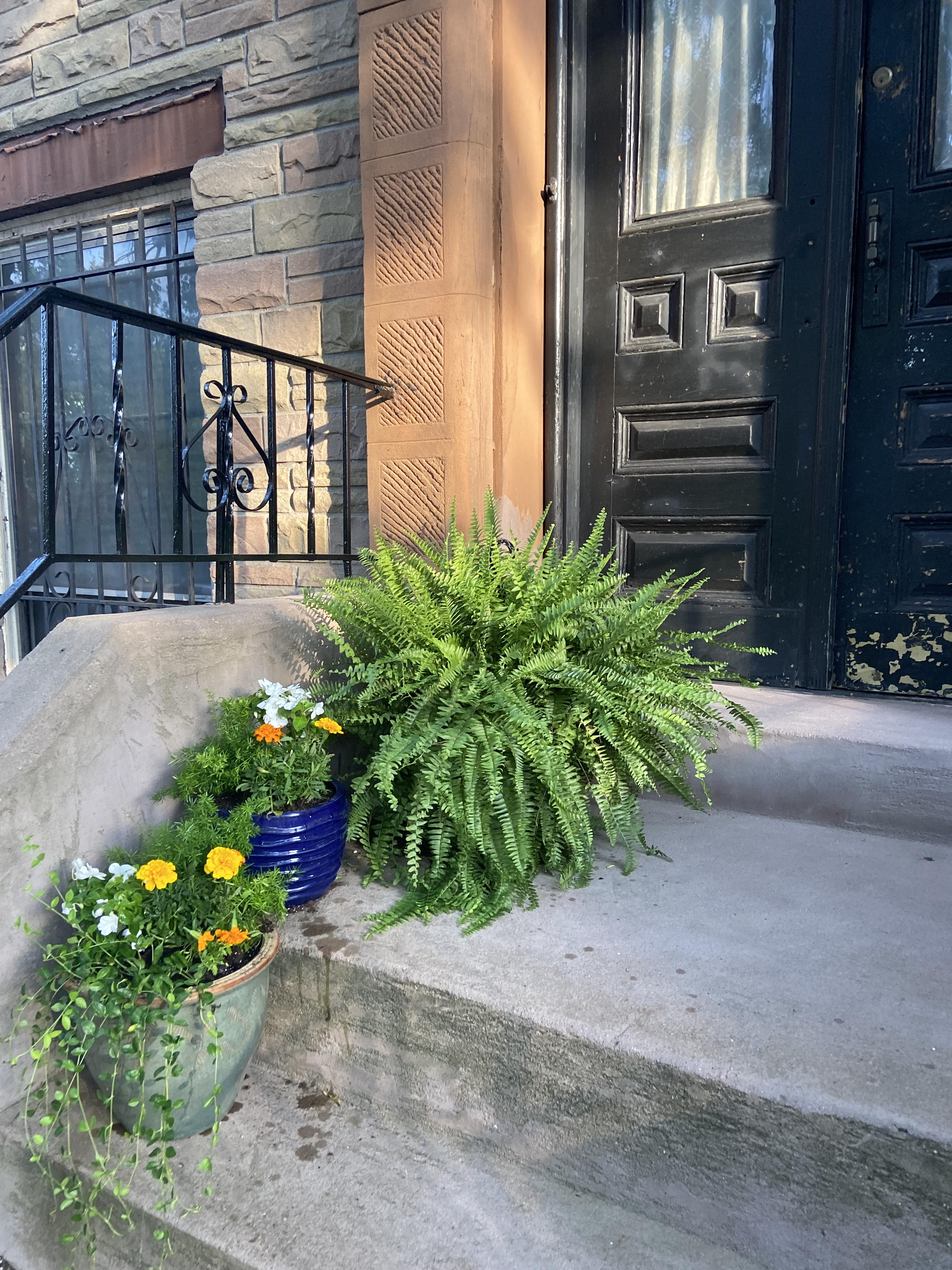 Brooklyn Brownstone Studio near Public Transit and Hospitals - Photo 5