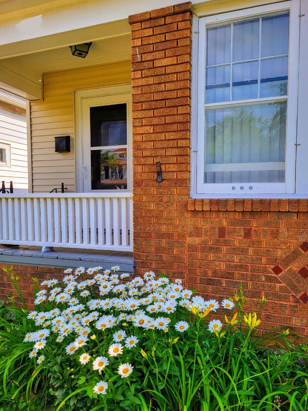 Conveniently located lower spacious 3 bed, 2 full bath - Photo 1