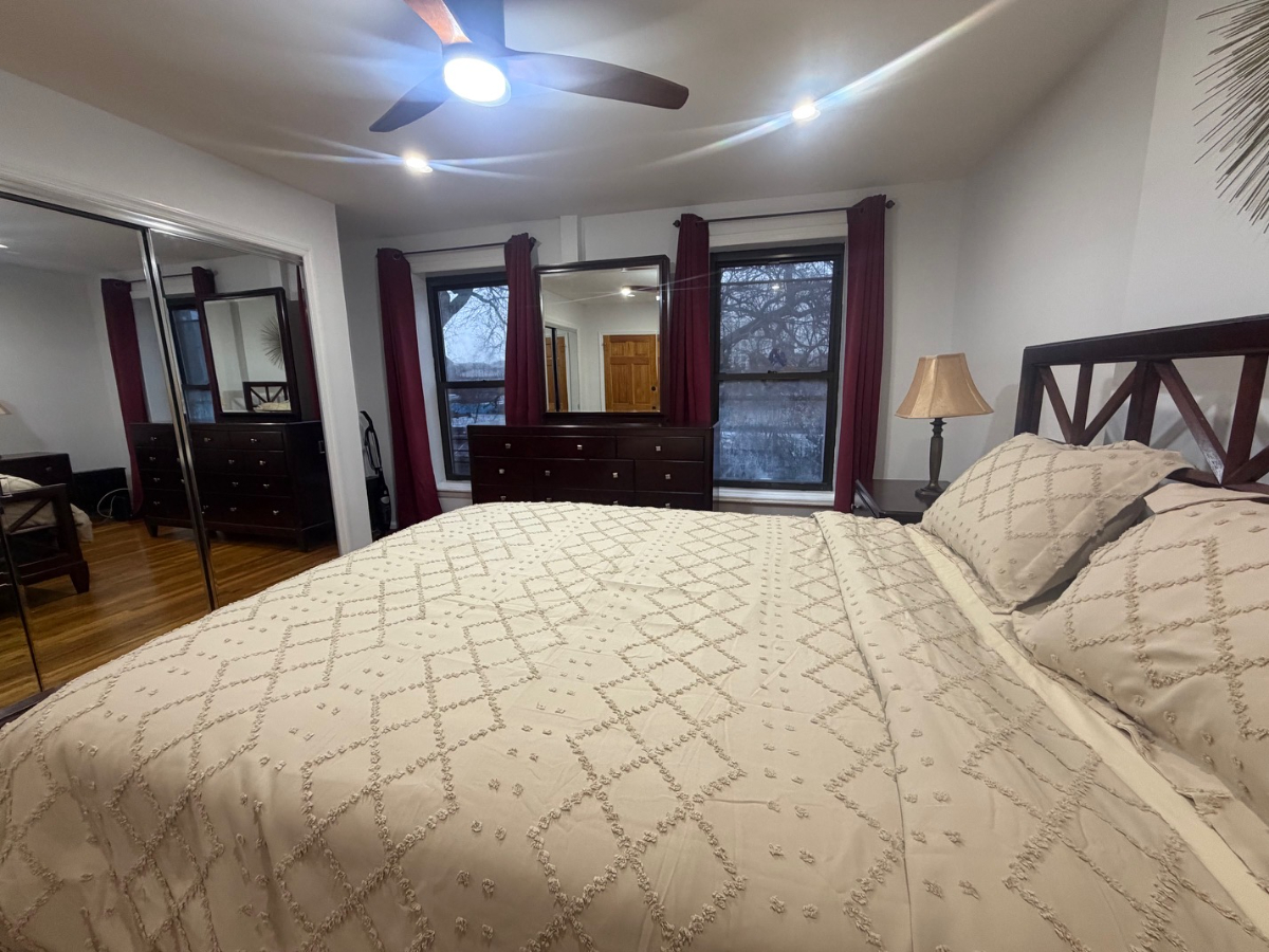 Clinton Hill Brownstone Penthouse - Photo 8