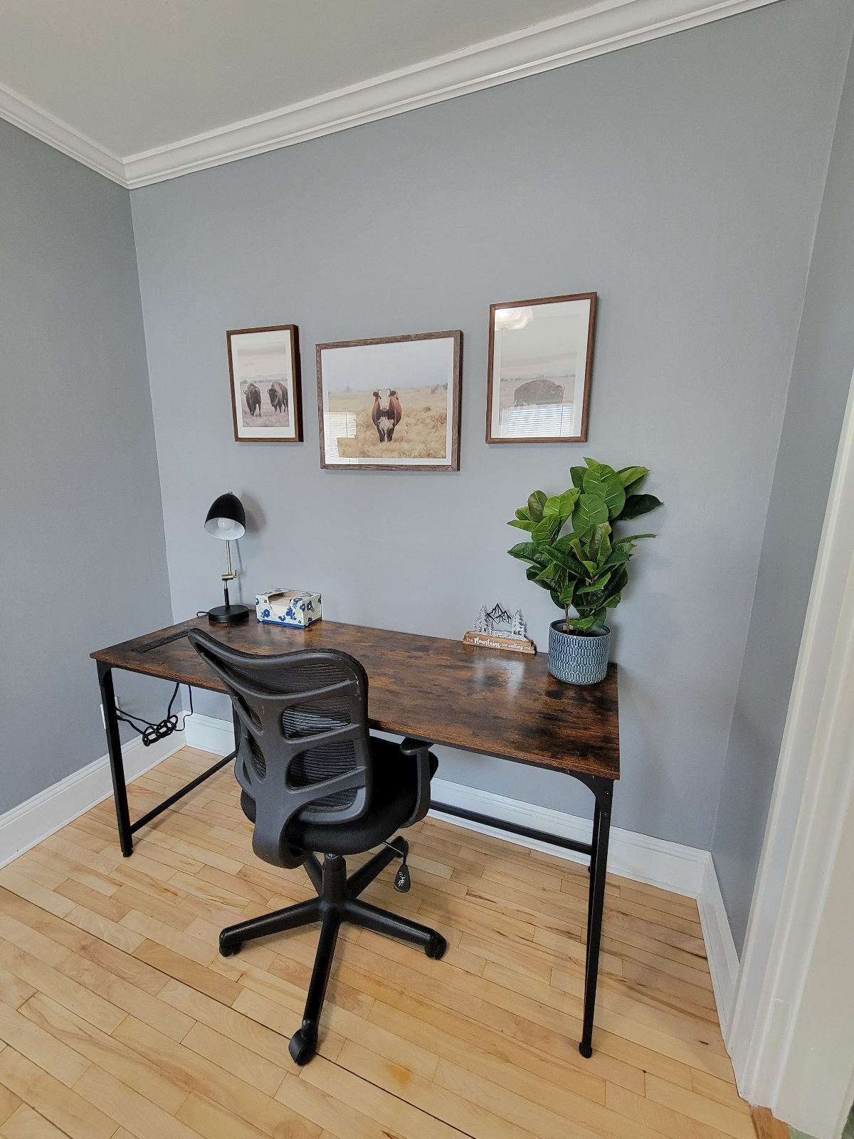 Large One Bedroom Apt 2 - Centrally located in... - Photo 7