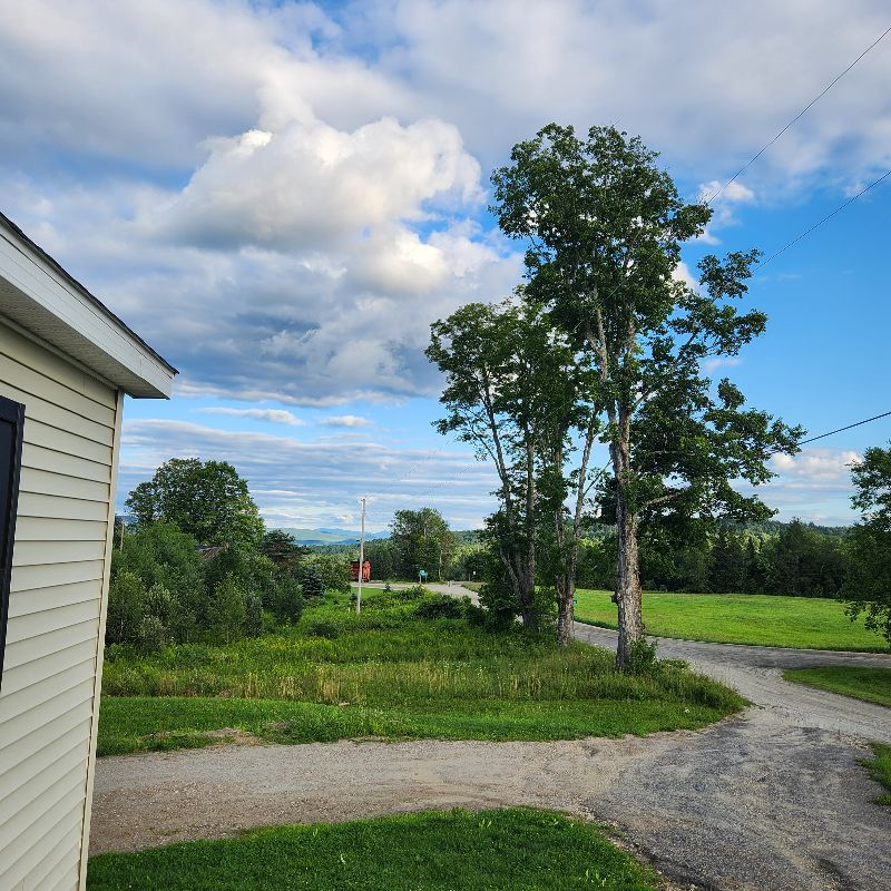 Beautiful country living close to town - Photo 9