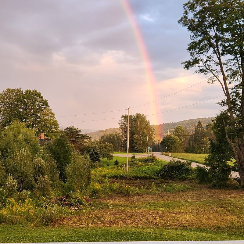 Beautiful country living close to town - Photo 8