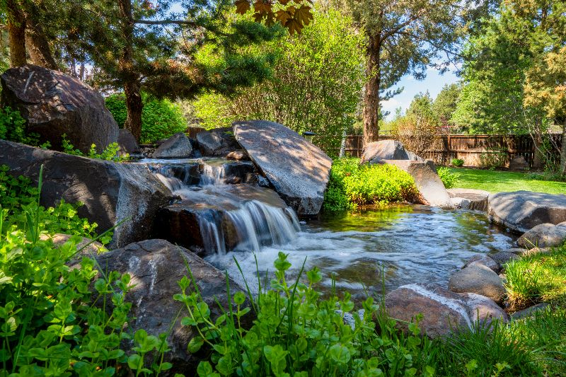 Peaceful 0.5 Acre Oasis/ Pets/Water feature - Photo 5