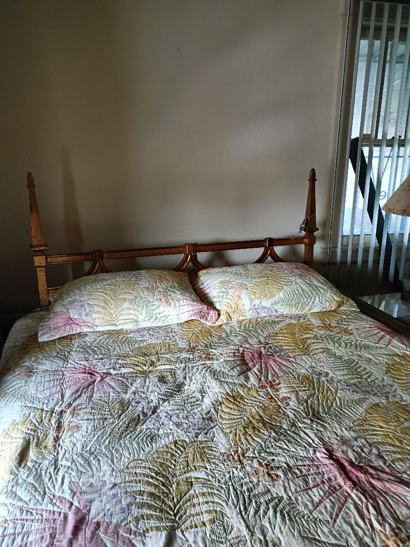 Fully furnished room-full access to the entire house - Photo 1