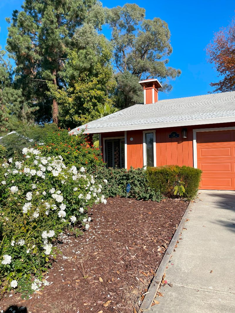 Attractive, clean 2 bedroom, 2 bath house with large backyard in a quiet Cul de Sac - Photo 3