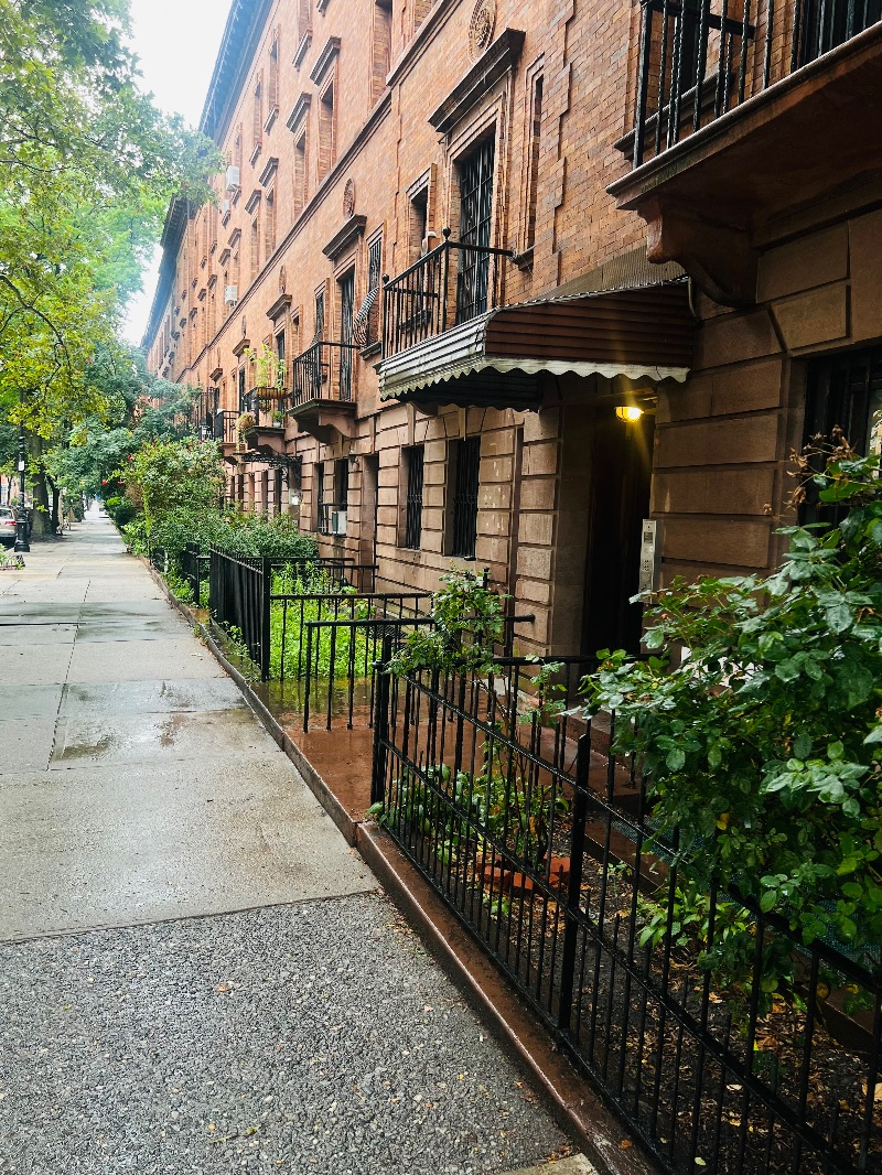 Best Manhattan Deal Strivers Row Townhouse - Photo 4
