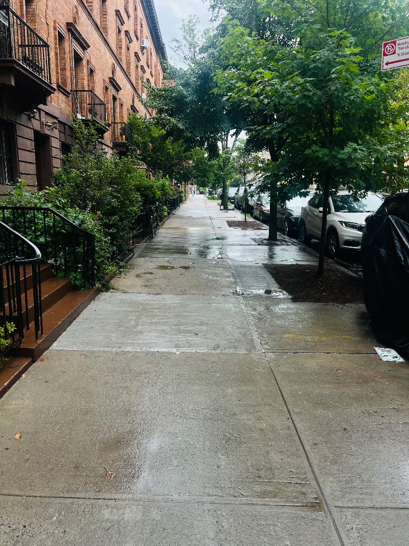 Best Manhattan Deal Strivers Row Townhouse - Photo 3