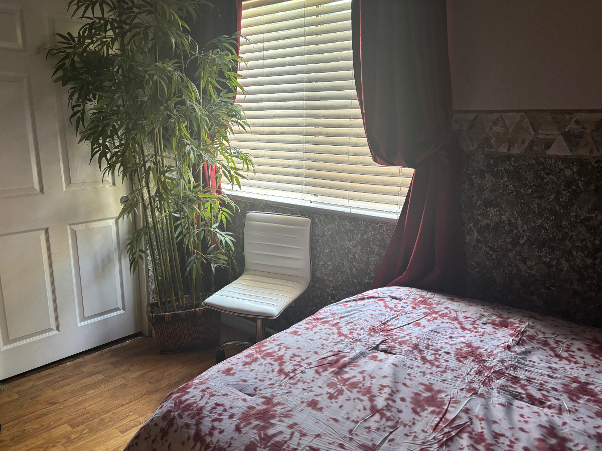 Cozy, Quiet Room in a Friendly House in Clairemont - Photo 5