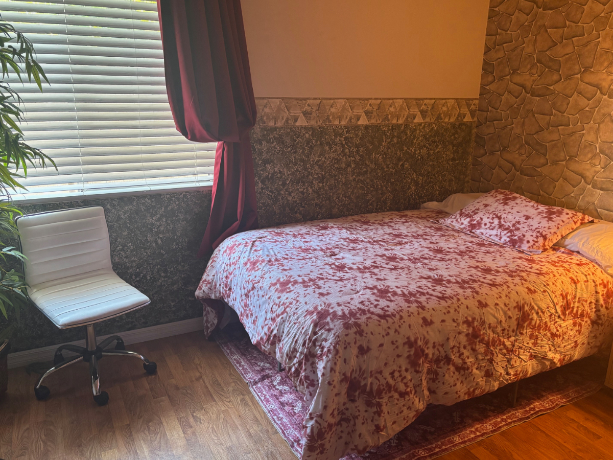 Cozy, Quiet Room in a Friendly House in Clairemont - Photo 2
