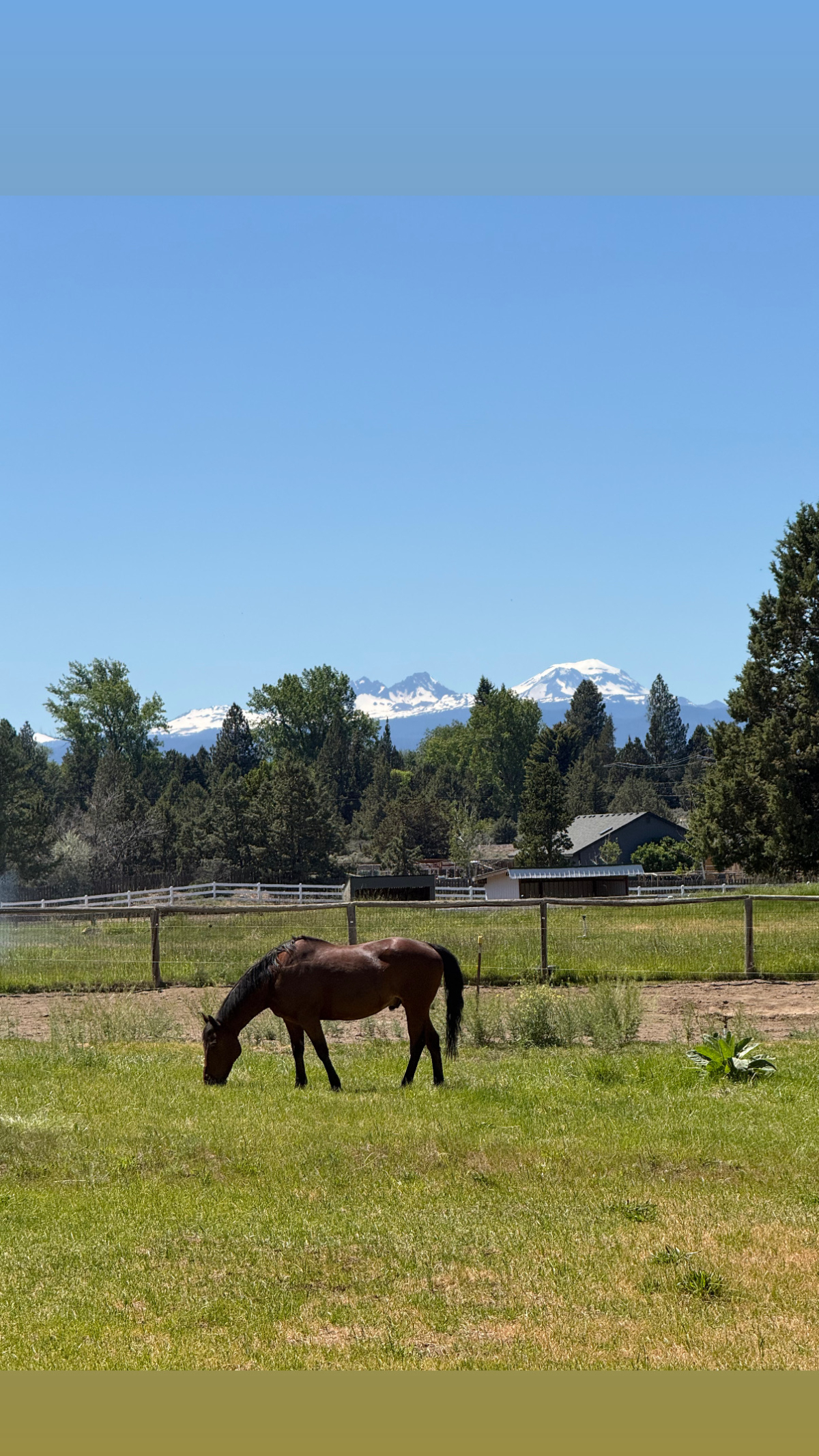 Private Modern Bend Retreat with Cascade Mountain Views near St. Charles Hospital - Photo 5