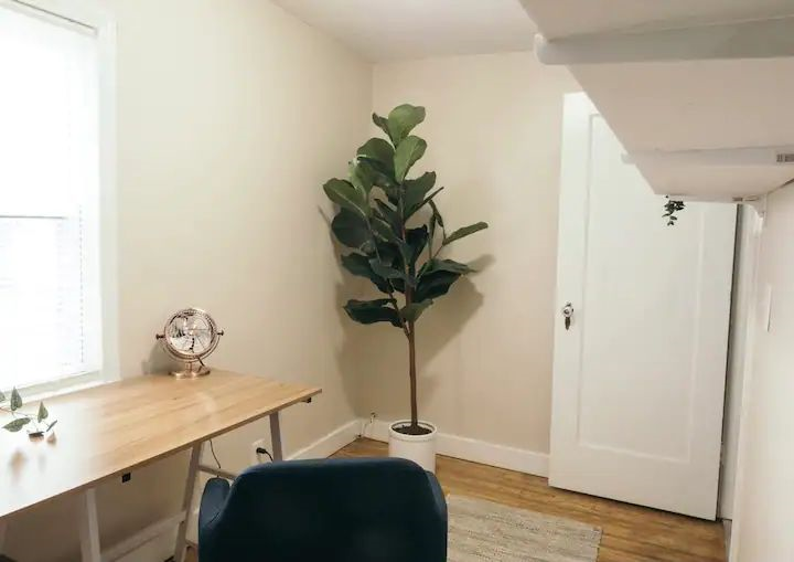 Convenient and cozy 1bd lower of duplex with office and laundry in-unit - Photo 7