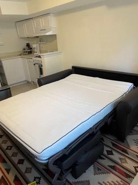 Lightfilled, fully furnished basement unit on Capitol Hill - Photo 2