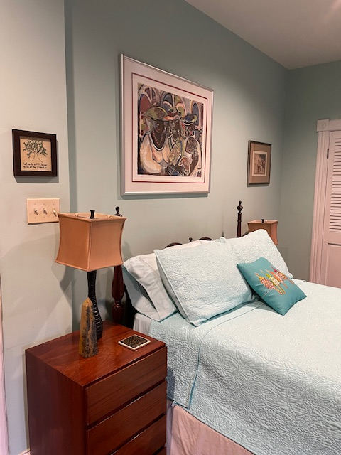 Lightfilled, fully furnished basement unit on Capitol Hill - Photo 4