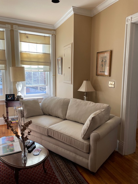 Lightfilled, fully furnished basement unit on Capitol Hill - Photo 11