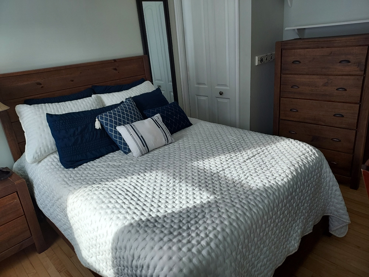 Studio Basement Apartment - Photo 1
