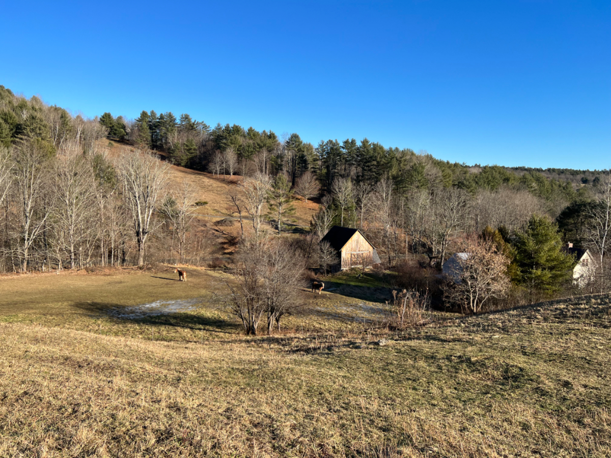 SUNNY NORWICH VERMONT STUDIO ON FARM 15 MIN FROM HOSPITAL - Photo 2