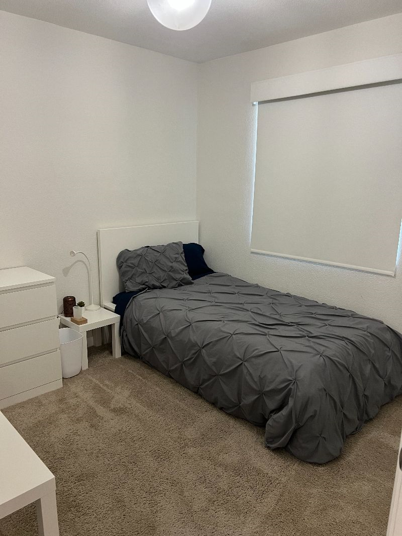 The Basic B's 2 (3 Separate Rooms)