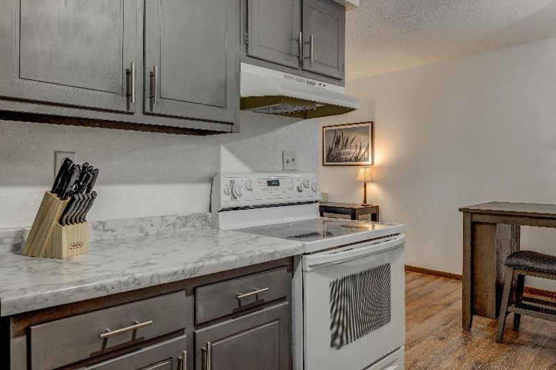 Spacious 1 bedroom condo - Photo 7