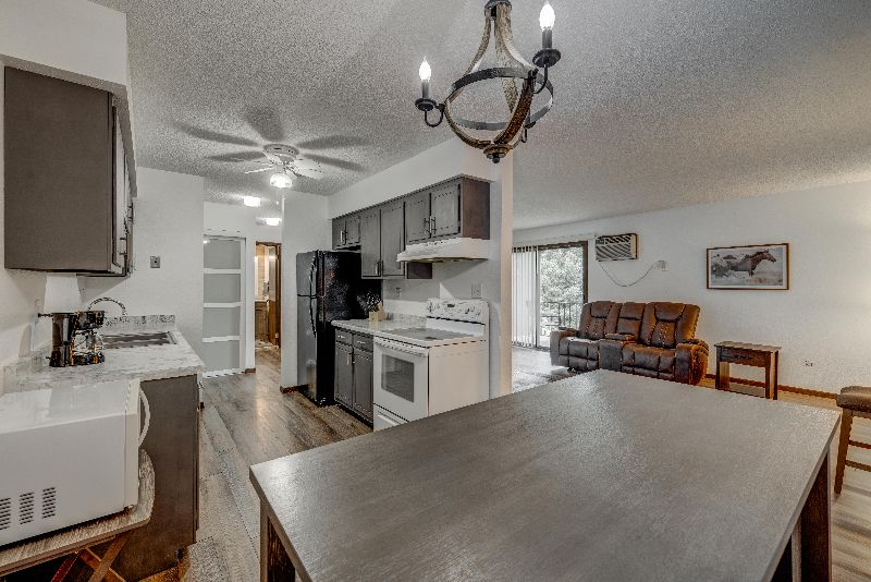 Spacious 1 bedroom condo - Photo 10