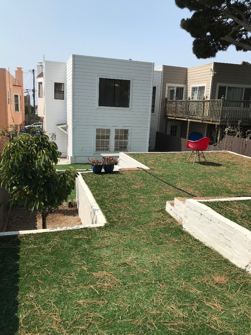 Spacious, light-filled 5-bedroom near UCSF - Photo 4