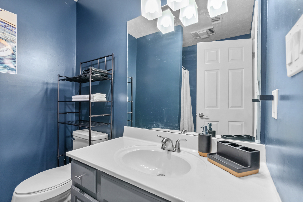 Modern and Cozy Basement 1BR Apartment in Lexington, KY - Private Entrance, Kitchenette, and Outdoor - Photo 5