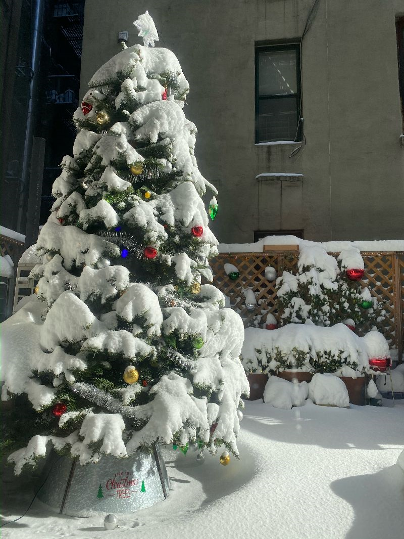 Experience City Living at Its Finest in a Charming 1-Bedroom Apartment in New York, NY - Your Urban  - Photo 9