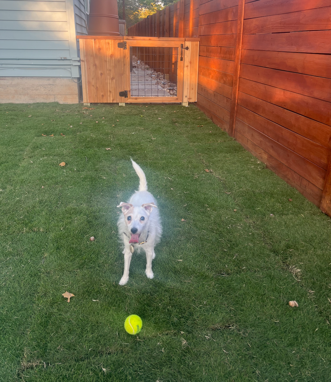 Private studio with cowboy pool oasis - Photo 3