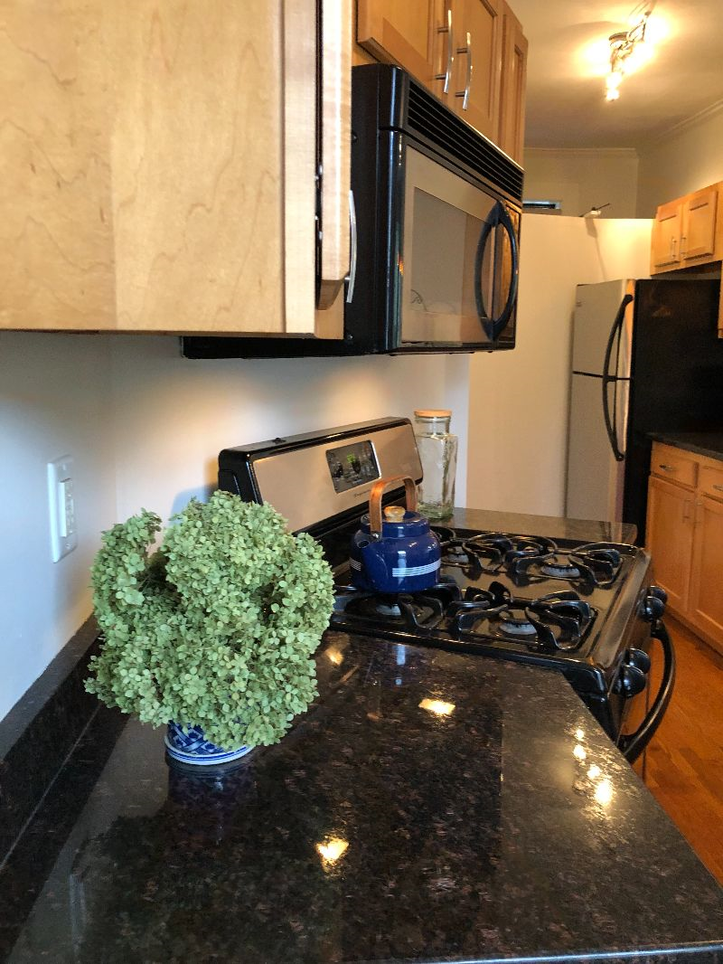 Entire 1Br 1Ba Apt with Private Parking & Patio - Photo 5
