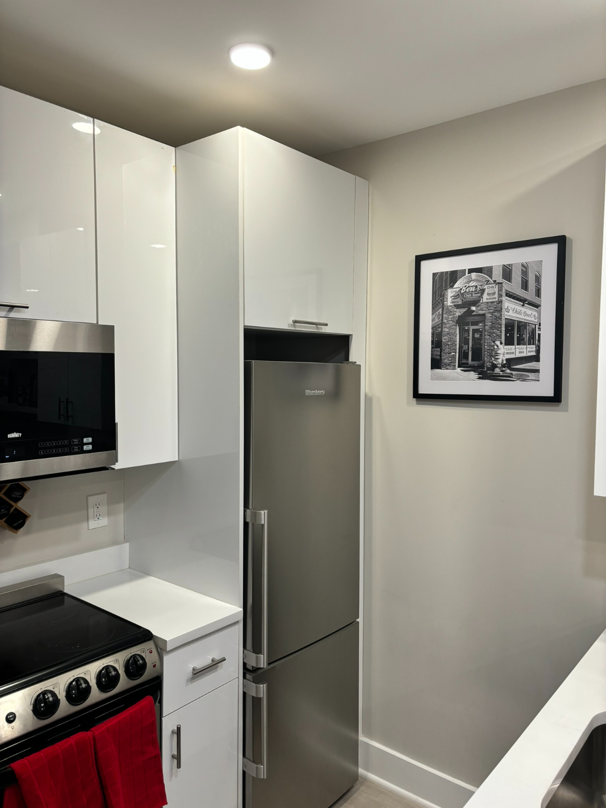 Beautiful One Bed Room Condo - Photo 10