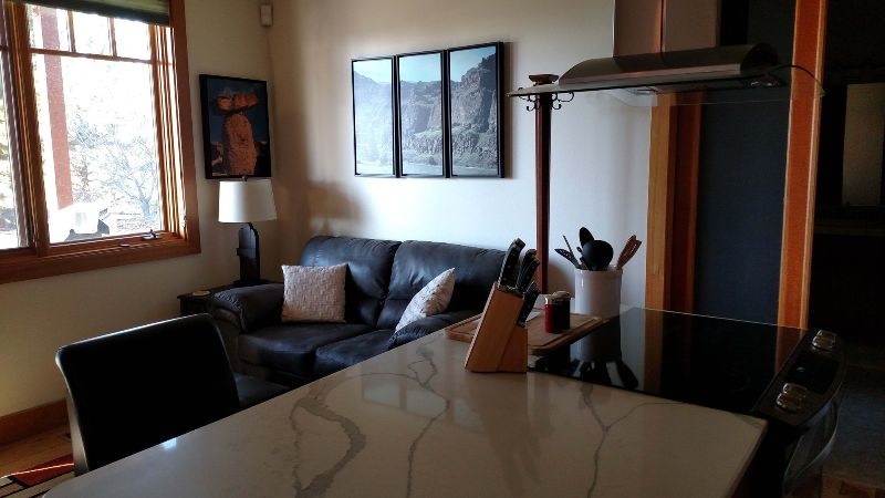 Executive Suite/Vacation/ Short Term Rental 30-90 days - Photo 4