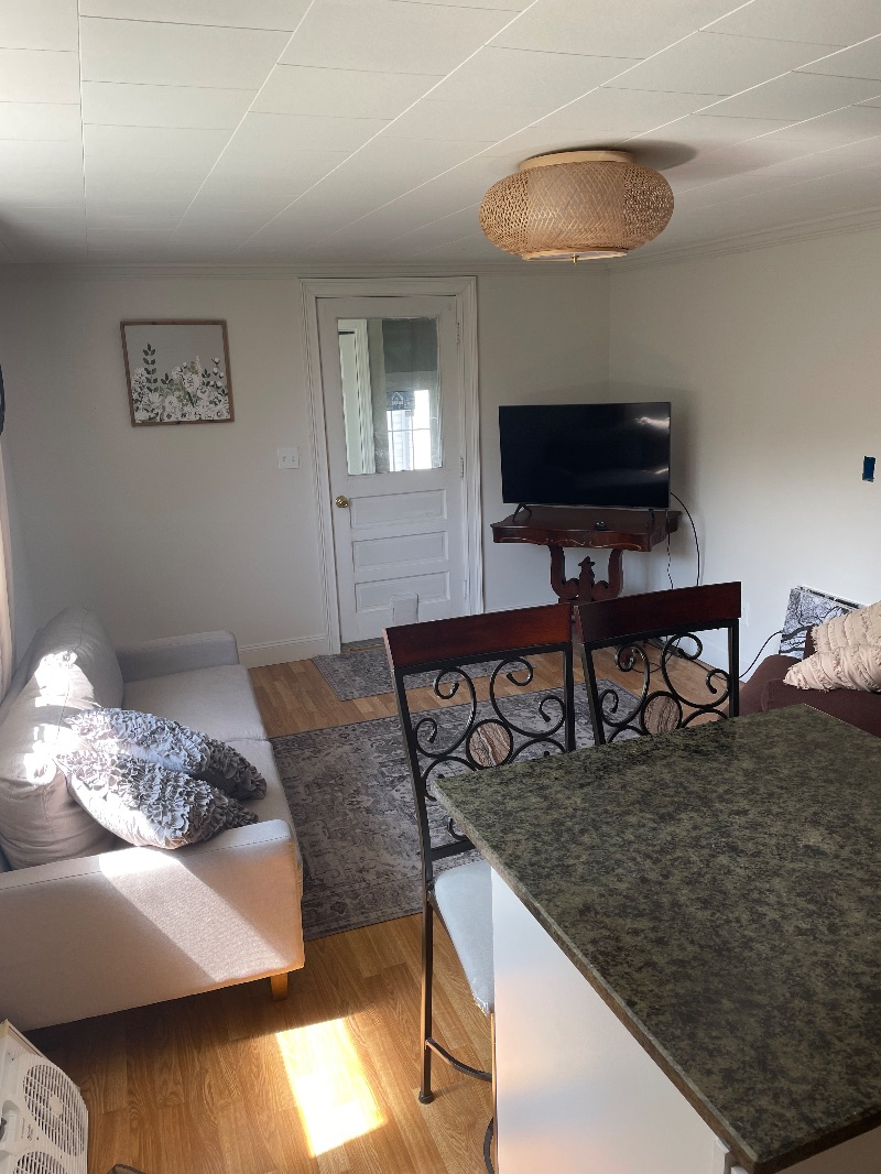 Charming and Convenient One Bedroom Apartment in Lowville  Modern Amenities Outdoor Space and  near  - Photo 3