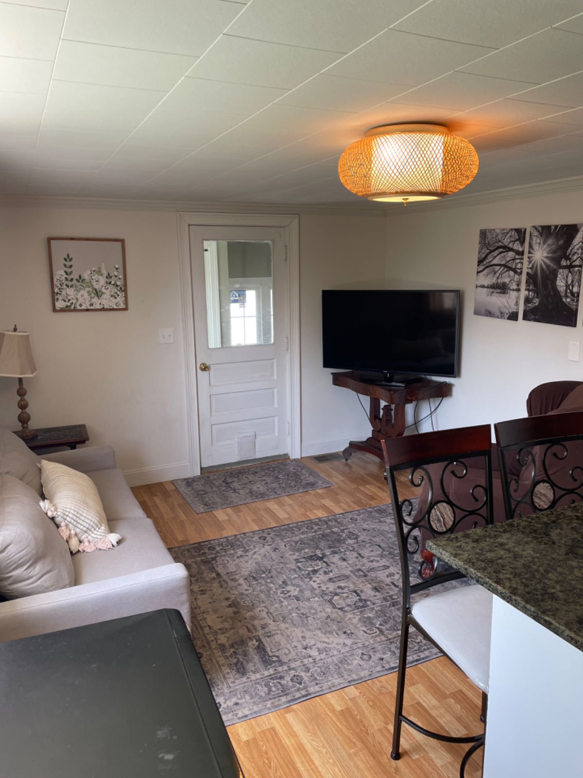 Charming and Convenient One Bedroom Apartment in Lowville  Modern Amenities Outdoor Space and  near  - Photo 7