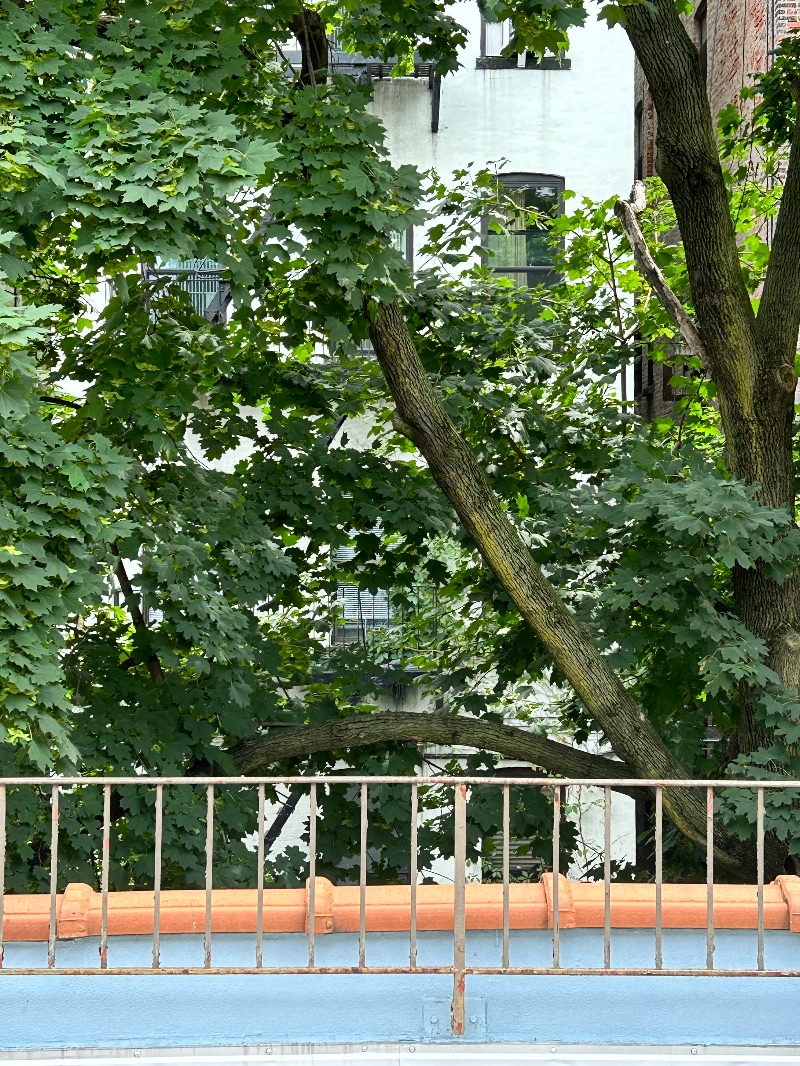 Apt in Manhattan Townhouse on the Upper Eastside- Owner Occupied Townhouse - Photo 4