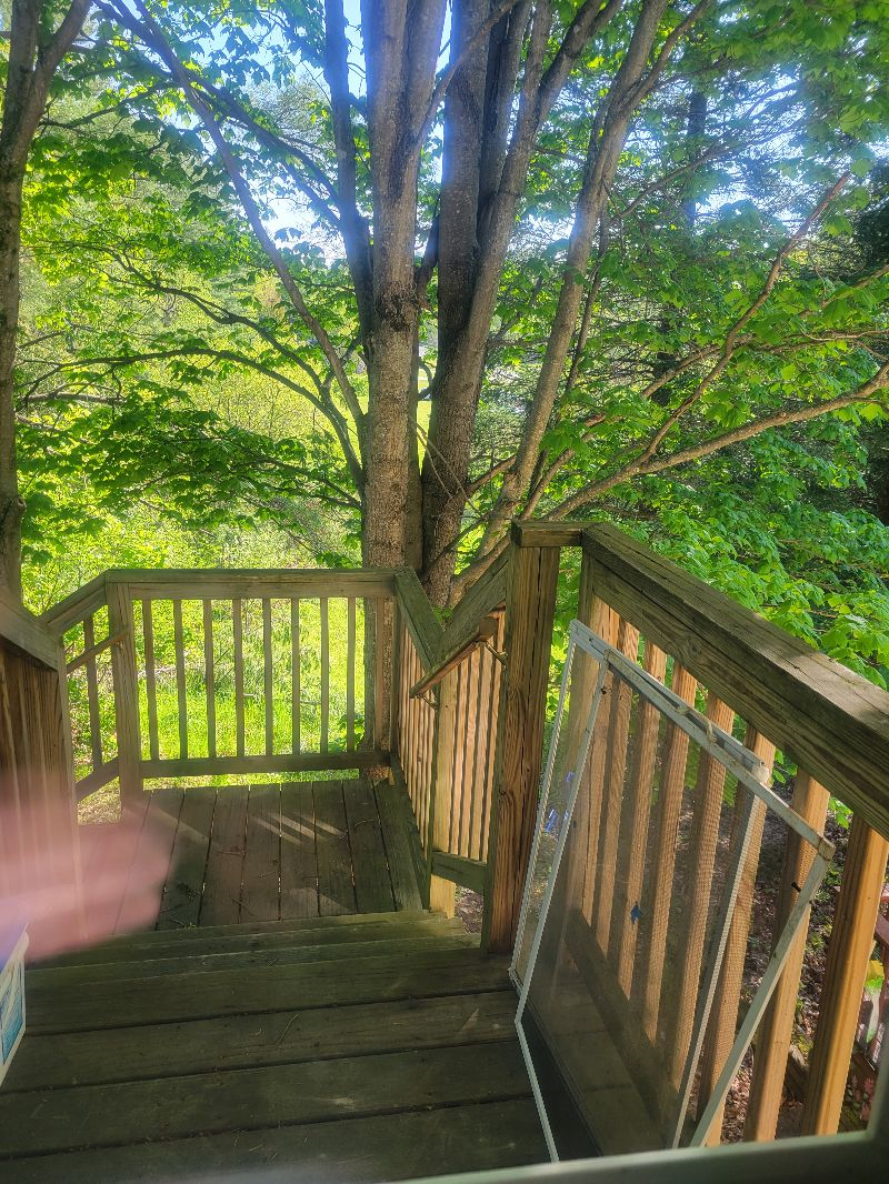 Pet Friendly Two Bedroom on Dead End Street - Photo 4