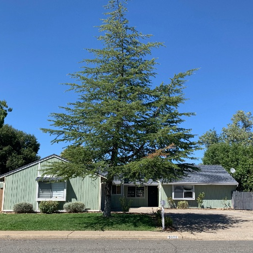 Charming 3-Bed, 2-Bath Home in Redding, CA | Furnished Finder