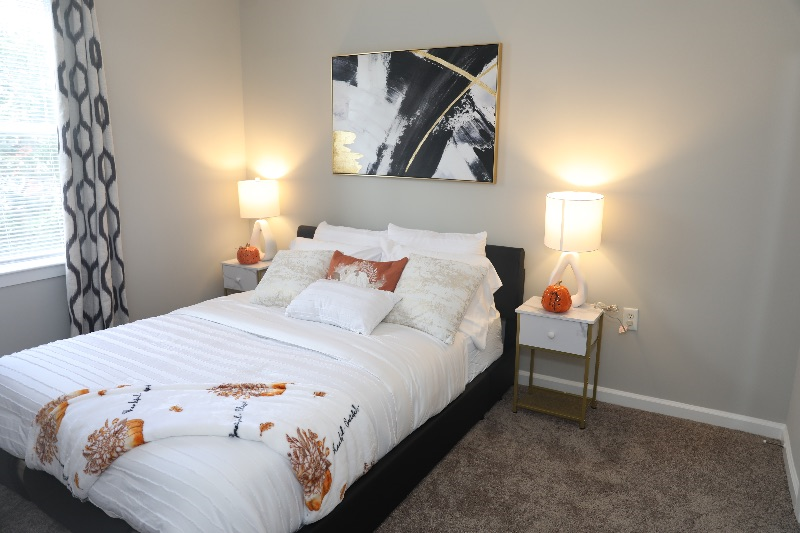 Private Apartment/W/D/Free parking - Photo 7