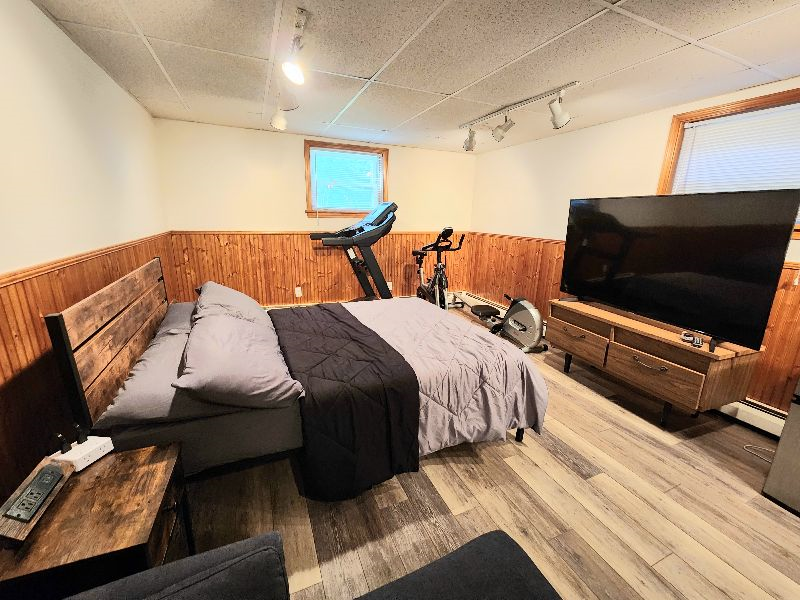 Entire Basement with Private Bathroom - Photo 4