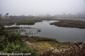 Loma Alta C - Photo 6