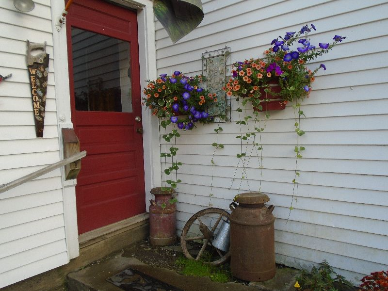 Private Room in a 3 bedroom country home on quiet road - Photo 4